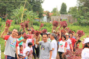 Bekasi Berkebun Giatkan Penyadaran Berkebun Mulai Dari Rumah
