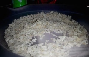 Beras Plastik, Kata Paduka Jangan Dibesar-besarkan