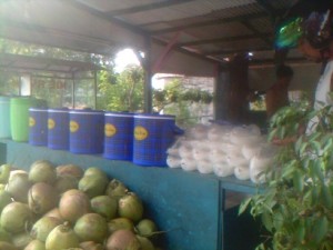 Selama Ramadhan Omzet Pedagang Kelapa Muda Naik 100%