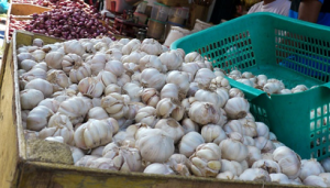 Jelang Ramadhan Harga Bawang Melambung