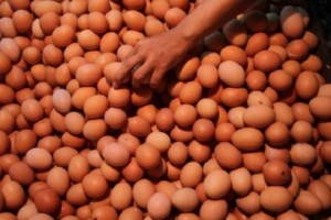 Dalam Seminggu Harga Telur Naik 3 Kali