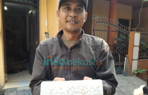 Dollar Naik, Tempe ‘Menciut’