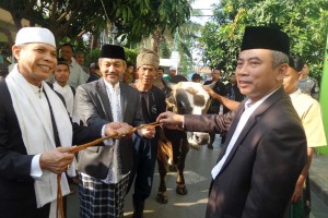 Walikota dan Wawali  Kompak Berkurban di Al Barkah