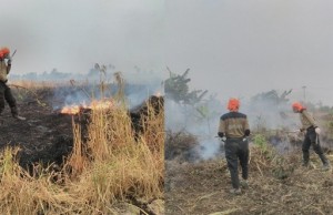 Prihatin Musibah Asap, Musda PKS Kota Bekasi Galang Satu Juta Masker