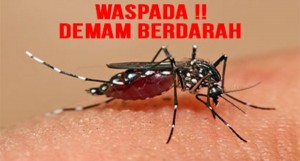 Januari, Pasien DBD Kota Bekasi Capai 159 Orang, 6 Meninggal