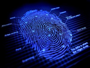 Tak Ada Tunjangan Tambahan, Absen Fingerprint Tidak Efektif?