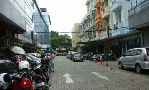 Ajakan BPLH Bekasi untuk Mendukung Program 1.000 Taman