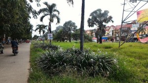 Taman Harapan Baru Bakal Jadi Taman Hutan Kota Tematik di Medansatria