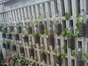 Tanaman Vertikal Jadi Program Green Hospital RS Mekar Sari Bekasi