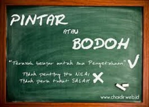 Banyak Istirahat, dan Sekolahnya pun Hanya 4 Jam, Tapi Sistem Pendidikannya Top!