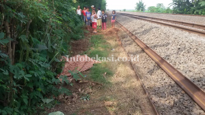 Hendak BAB di Seberang Rel, Pria Ini Tewas Tertabrak Kereta