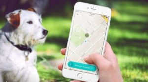 Pooper, Aplikasi Pemungut Kotoran Anjing