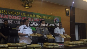 Ditangkapnya Bandar Ganja di JGC, Jakarta Timur