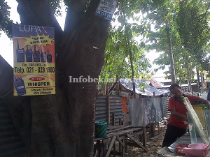 Banyak Warga Keluhkan Iklan yang Menempel di Pepohonan Pinggir Jalan