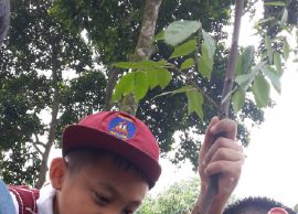 Ratusan Siswa SD Ananda Bekasi Ikuti Kegiatan Berkebun dan Beternak di D’Kandang, Bogor