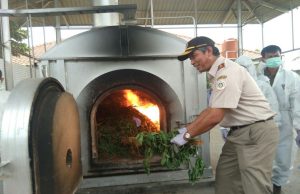 Ada Cabai Berbakteri dari Tiongkok, Ini Tanggapan Dirjen Imigrasi Kementerian Hukum dan HAM
