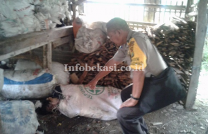 Misteri Wanita Tewas Dimutilasi di Tambun Terungkap