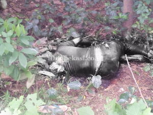Penemuan Mayat Busuk Tanpa Identitas di Kebun Kosong