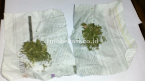 Asyik Jualan Ganja, Pemuda Ini Ditangkap Polsek Cikarang Utara