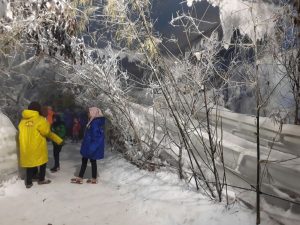 Long Weekend, Snow World International Kebanjiran Pengunjung