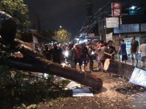 Hujan Lebat Serta Angin Kencang Tumbangkan Pohon di Jakasampurna