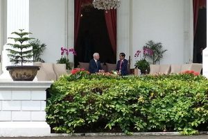 Ini Hasil Pertemuan Jokowi dengan Wakil Presiden AS