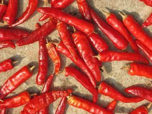 Harga Cabai Rawit di Bekasi Tembus Rp 100 Ribu/Kg