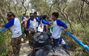 Wisata Hutan Mangrove di Muara Gembong Dibersihkan dari Sampah