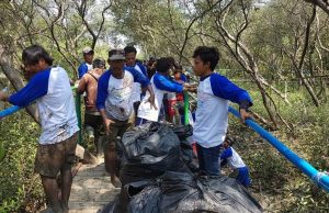 Wisata Hutan Mangrove di Muara Gembong Dibersihkan dari Sampah