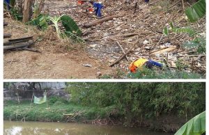 Butuh Waktu 14 Hari Bersihkan Sampah Bambu di Sungai Cikeas Jatiasih
