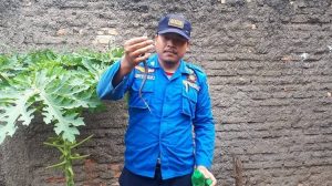Tim Rescue Damkar Temukan Sarang Ular Kobra di Tambun