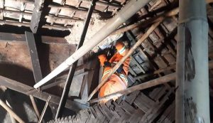 Ada Sarang Tawon Ndas, Warga Kabupaten Bekasi Ngungsi Selama Dua Bulan