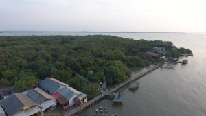 Sekarang Ada Alat Pelindung Hutan Mangrove di Muara Gembong