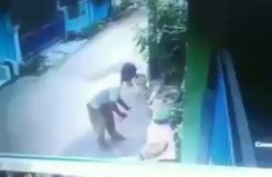 Polisi Tangani Kasus Pemukulan Kucing di Bekasi