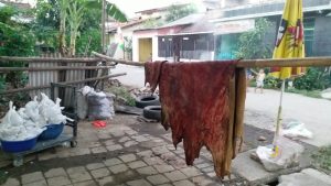 Kulit Hewan Kurban Tahun Ini Sepi Peminat, Ada Apa?