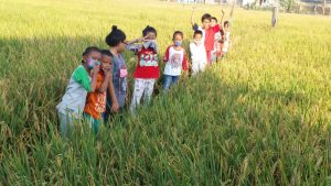 Bermain ke Sawah Sebelum Tumbuh Beton