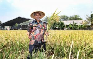Dampak Pandemi Covid-19 dan Data Desa Presisi