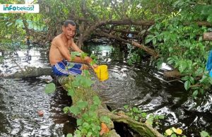 Potret Warga Bekasi di Perbatasan dengan Jakarta Krisis Air Bersih