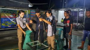 Puluhan Ular Kobra Ditemukan di Permukiman Warga BTR