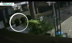 Video: Detik-detik Pencurian Tanaman Hias di Jatiasih