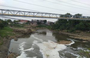 Sampah Bambu Menggunung di Kali Bekasi