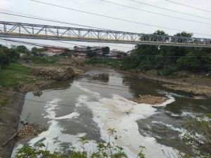 Sampah Bambu Menggunung di Kali Bekasi