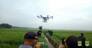 Di Kabupaten Bekasi, Basmi Hama Wereng Pakai Drone