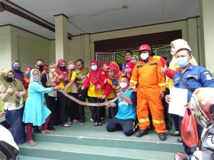 Ular Sanca Bersarang di Atas Plafon Toilet SD Margajaya