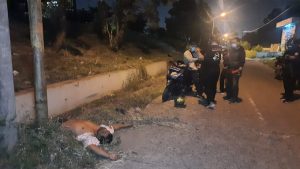 Anggota Satpol PP Ditemukan Tergeletak di Kalimalang, Saksi: Bau Alkohol