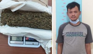 Pria di Bekasi Barat, Simpan Ganja di Bawah Bantal