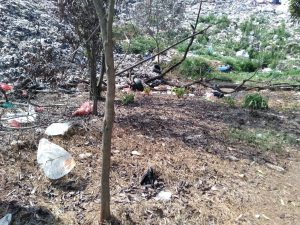 Pemkot Bekasi Akan Pindahkan Makam Terkubur Sampah