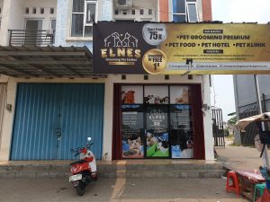 Salon Perawatan Cat & Dog Kualitas Premium Hadir di Tambun