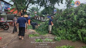Pohon Tumbang Timpa Mobil di Mustikajaya