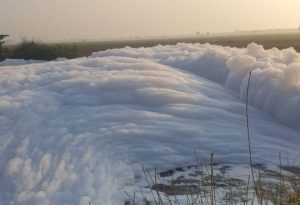 Kali Rasmi di Bekasi Bak Negeri di Atas Awan Pagi Ini